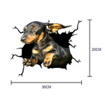 Funny dog in the crack  Vinyl Car Stickers Decals Motorcycle Accessories Car-Window Decorative Goods  PVC Decorative 2021 New