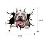 Funny dog in the crack  Vinyl Car Stickers Decals Motorcycle Accessories Car-Window Decorative Goods  PVC Decorative 2021 New
