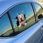 Funny dog in the crack  Vinyl Car Stickers Decals Motorcycle Accessories Car-Window Decorative Goods  PVC Decorative 2021 New