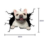 Funny dog in the crack  Vinyl Car Stickers Decals Motorcycle Accessories Car-Window Decorative Goods  PVC Decorative 2021 New