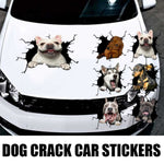 Funny dog in the crack  Vinyl Car Stickers Decals Motorcycle Accessories Car-Window Decorative Goods  PVC Decorative 2021 New