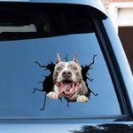 Funny dog in the crack  Vinyl Car Stickers Decals Motorcycle Accessories Car-Window Decorative Goods  PVC Decorative 2021 New